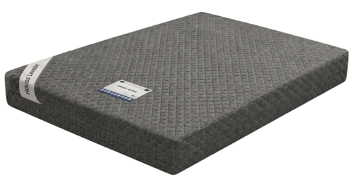 Matelas Ergo Vital Roulé